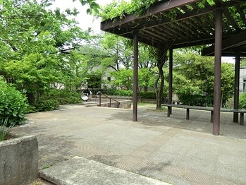 detached 東京都町田市森野１丁目31-10　渋谷グリーンテラスⅡ1F