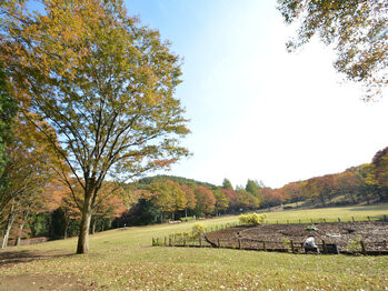 apartment 東京都町田市森野１丁目31-10　渋谷グリーンテラスⅡ1F
