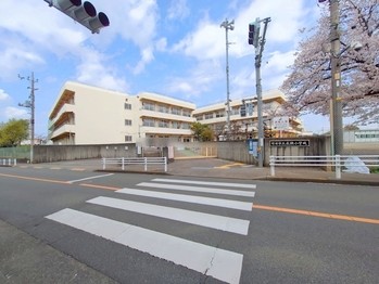 apartment 東京都町田市森野１丁目31-10　渋谷グリーンテラスⅡ1F