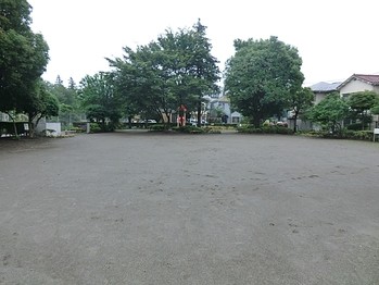 apartment 東京都町田市森野１丁目31-10　渋谷グリーンテラスⅡ1F