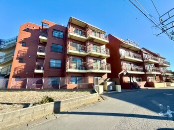 apartment 東京都町田市森野１丁目31-10　渋谷グリーンテラスⅡ1F