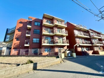 apartment 東京都町田市森野１丁目31-10　渋谷グリーンテラスⅡ1F