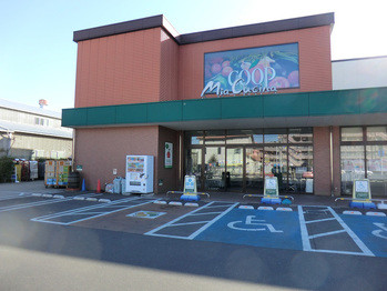 detached 東京都町田市森野１丁目31-10　渋谷グリーンテラスⅡ1F