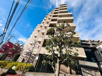 apartment 東京都町田市森野１丁目31-10　渋谷グリーンテラスⅡ1F