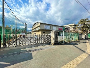 apartment 東京都町田市森野１丁目31-10　渋谷グリーンテラスⅡ1F