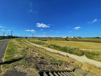apartment 東京都町田市森野１丁目31-10　渋谷グリーンテラスⅡ1F