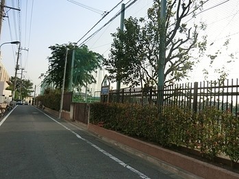 apartment 東京都町田市森野１丁目31-10　渋谷グリーンテラスⅡ1F
