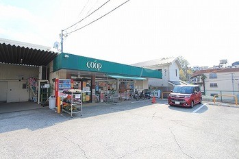 detached 東京都町田市森野１丁目31-10　渋谷グリーンテラスⅡ1F