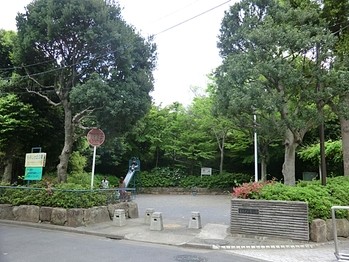 detached 東京都町田市森野１丁目31-10　渋谷グリーンテラスⅡ1F