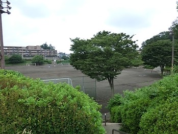 apartment 東京都町田市森野１丁目31-10　渋谷グリーンテラスⅡ1F