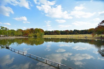 apartment 東京都町田市森野１丁目31-10　渋谷グリーンテラスⅡ1F
