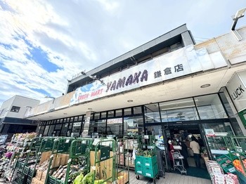 apartment 東京都町田市森野１丁目31-10　渋谷グリーンテラスⅡ1F