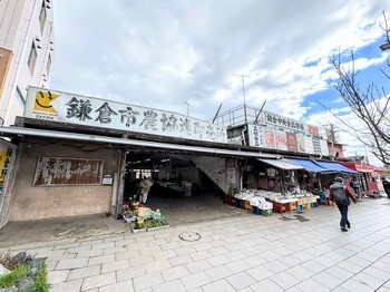 apartment 東京都町田市森野１丁目31-10　渋谷グリーンテラスⅡ1F