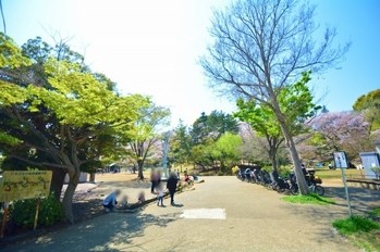 commercial 東京都町田市森野１丁目31-10　渋谷グリーンテラスⅡ1F