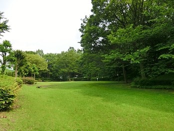 apartment 東京都町田市森野１丁目31-10　渋谷グリーンテラスⅡ1F