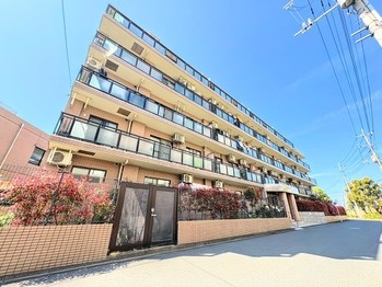 apartment 東京都町田市森野１丁目31-10　渋谷グリーンテラスⅡ1F