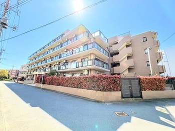 apartment 東京都町田市森野１丁目31-10　渋谷グリーンテラスⅡ1F