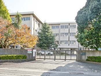 detached 東京都町田市森野１丁目31-10　渋谷グリーンテラスⅡ1F