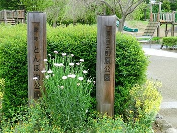 apartment 東京都町田市森野１丁目31-10　渋谷グリーンテラスⅡ1F