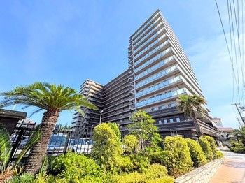 apartment 東京都町田市森野１丁目31-10　渋谷グリーンテラスⅡ1F