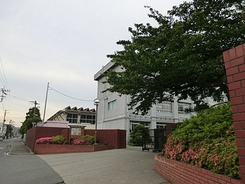 apartment 東京都町田市森野１丁目31-10　渋谷グリーンテラスⅡ1F