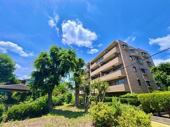 apartment 東京都町田市森野１丁目31-10　渋谷グリーンテラスⅡ1F