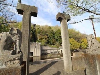 apartment 東京都町田市森野１丁目31-10　渋谷グリーンテラスⅡ1F