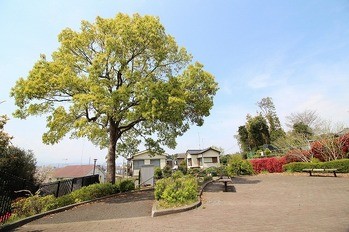 apartment 東京都町田市森野１丁目31-10　渋谷グリーンテラスⅡ1F