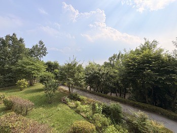 apartment 東京都町田市森野１丁目31-10　渋谷グリーンテラスⅡ1F