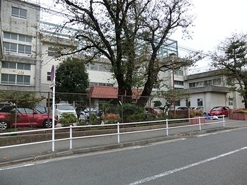 apartment 東京都町田市森野１丁目31-10　渋谷グリーンテラスⅡ1F