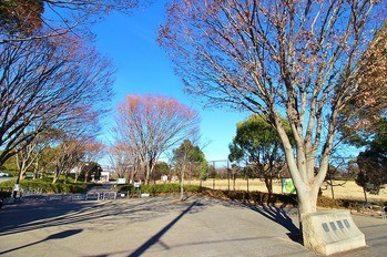 apartment 東京都町田市森野１丁目31-10　渋谷グリーンテラスⅡ1F