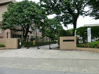 apartment 東京都町田市森野１丁目31-10　渋谷グリーンテラスⅡ1F