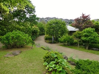 townhouse 東京都町田市森野１丁目31-10　渋谷グリーンテラスⅡ1F