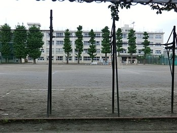 apartment 東京都町田市森野１丁目31-10　渋谷グリーンテラスⅡ1F