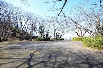 detached 東京都町田市森野１丁目31-10　渋谷グリーンテラスⅡ1F