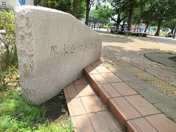apartment 東京都町田市森野１丁目31-10　渋谷グリーンテラスⅡ1F