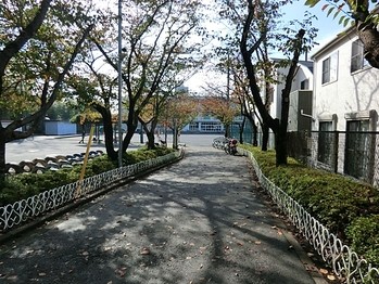 apartment 東京都町田市森野１丁目31-10　渋谷グリーンテラスⅡ1F