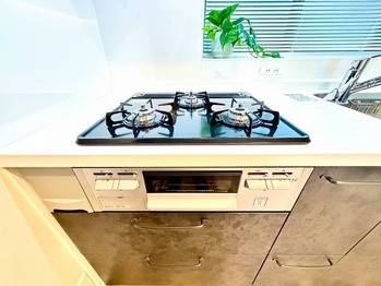 apartment 東京都町田市森野１丁目31-10　渋谷グリーンテラスⅡ1F