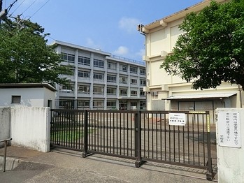 apartment 東京都町田市森野１丁目31-10　渋谷グリーンテラスⅡ1F