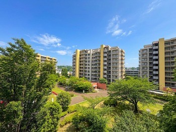 apartment 東京都町田市森野１丁目31-10　渋谷グリーンテラスⅡ1F
