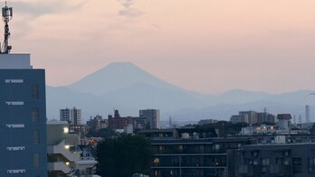 apartment 東京都町田市森野１丁目31-10　渋谷グリーンテラスⅡ1F