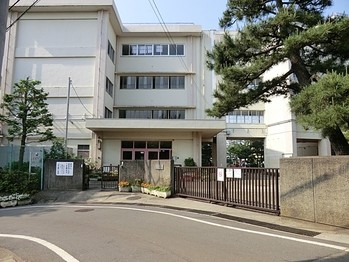 townhouse 東京都町田市森野１丁目31-10　渋谷グリーンテラスⅡ1F