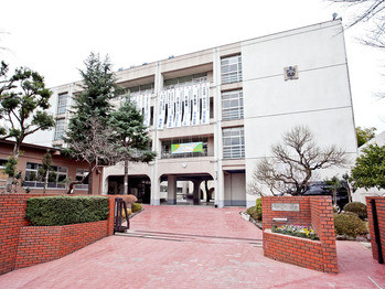 townhouse 東京都町田市森野１丁目31-10　渋谷グリーンテラスⅡ1F