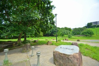 townhouse 東京都町田市森野１丁目31-10　渋谷グリーンテラスⅡ1F