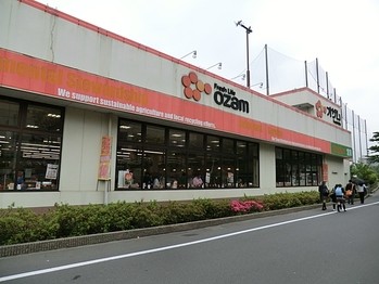 apartment 東京都町田市森野１丁目31-10　渋谷グリーンテラスⅡ1F