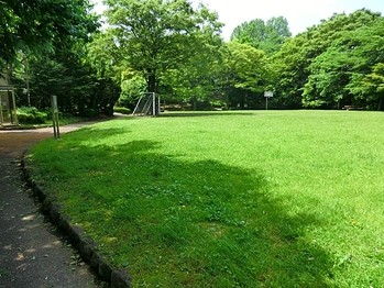 detached 東京都町田市森野１丁目31-10　渋谷グリーンテラスⅡ1F