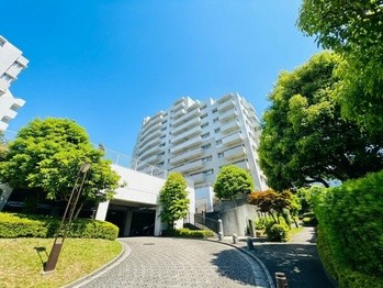 apartment 東京都町田市森野１丁目31-10　渋谷グリーンテラスⅡ1F