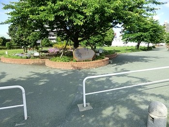 apartment 東京都町田市森野１丁目31-10　渋谷グリーンテラスⅡ1F