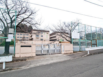 apartment 東京都町田市森野１丁目31-10　渋谷グリーンテラスⅡ1F