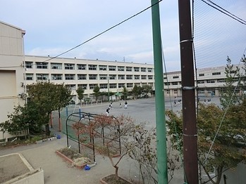 townhouse 東京都町田市森野１丁目31-10　渋谷グリーンテラスⅡ1F